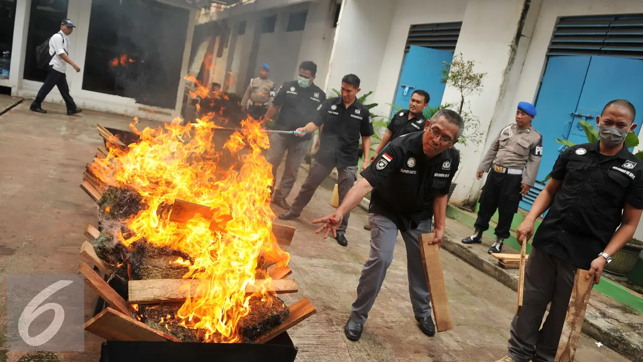 20160721- Polda Metro Jaya Musnahkan Sabu dan Ganja- Gempur M Surya
