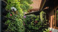 Kebun Vertikal di Halaman Belakang Rumah Kecil