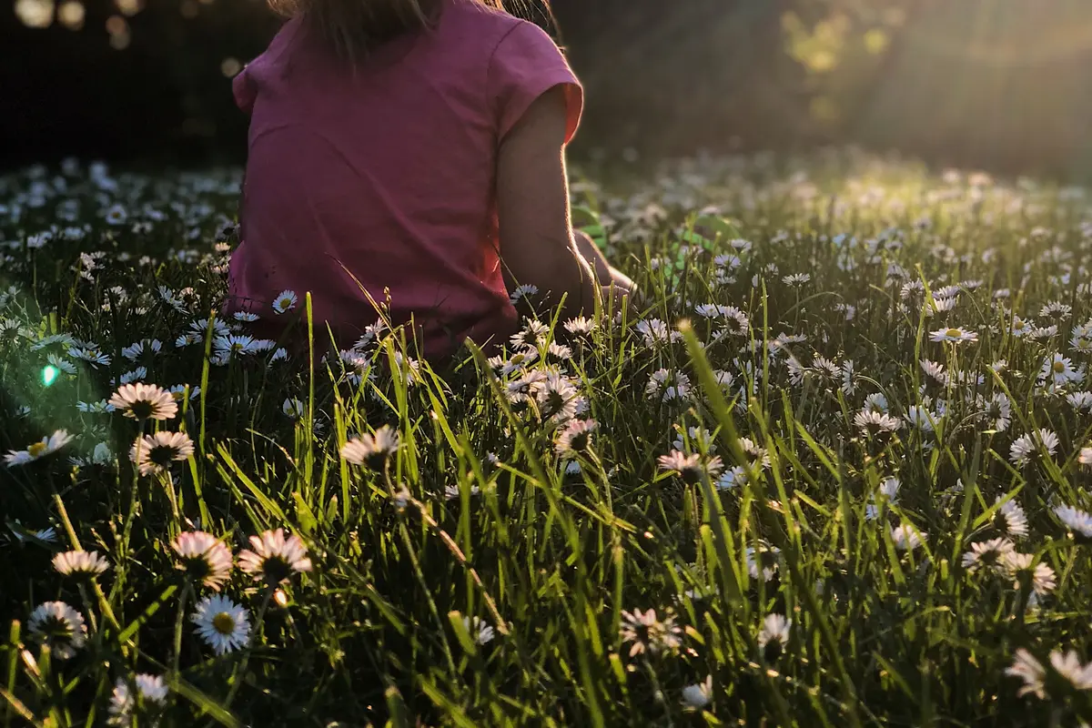Anak/Unsplash Melissa