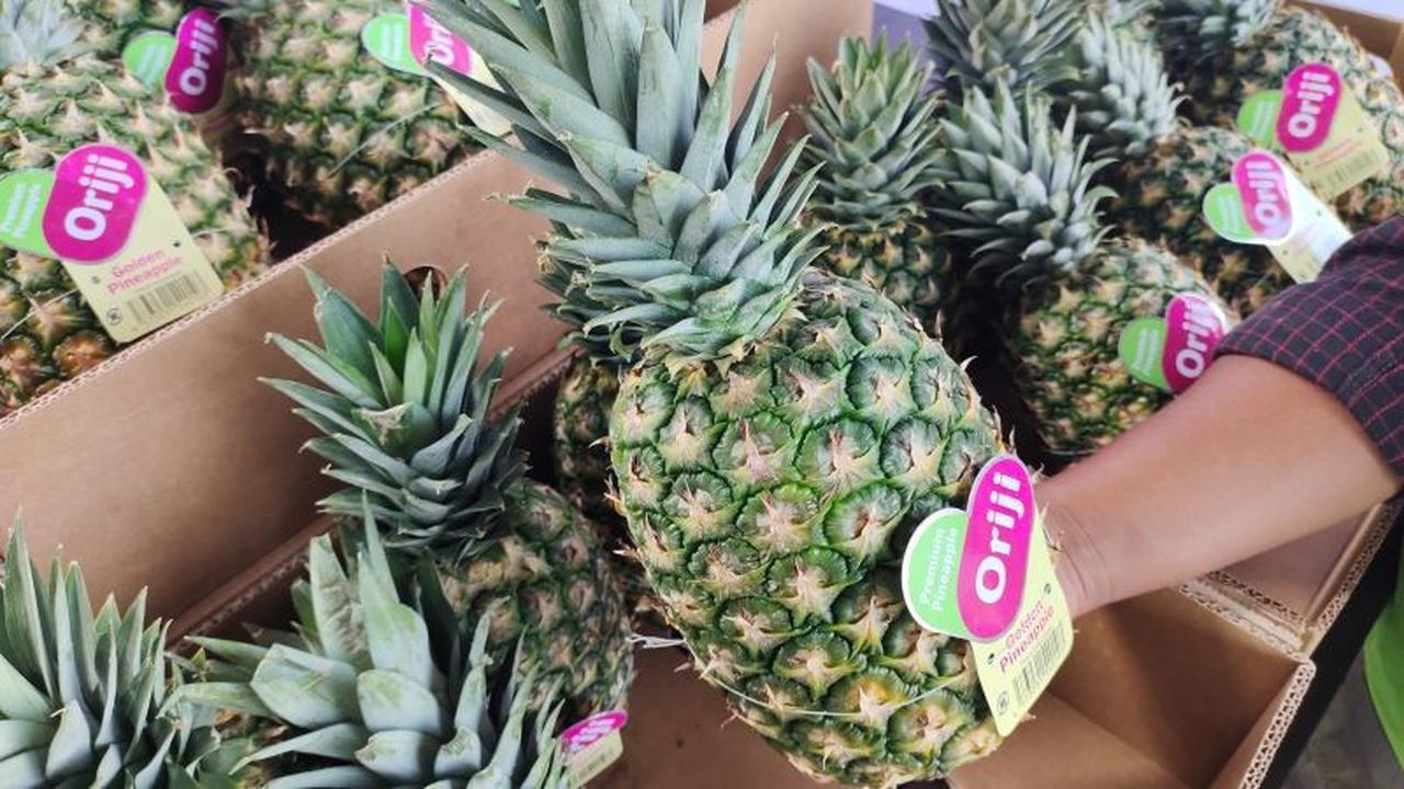 Neraca Perdagangan Lampung Melonjak Tajam, Surplus Capai 480,50 Juta Dolar AS di Oktober 2025