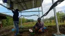 Petugas dari Green Energy Nusantara Mandiri melakukan pengecekan secara online panel surya yang dipasang pada areal pertanian di Cikaduwetan, Kabupaten Kuningan, Jawa Barat, Rabu (23/8/2023). (merdeka.com/Arie Basuki)