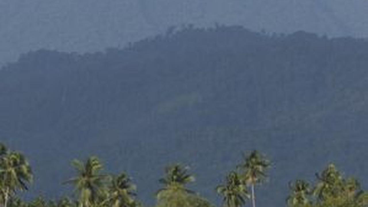 5. Penelitian Katak Spesies Baru Ini Disebut Dapat Melindungi Ekosistem<br>