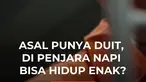 Ombudsman mengungkapkan temuan terkait sejumlah fasilitas yang dinilai tidak biasa yang ada di kompleks Lembaga Pemasyarakatan (Lapas) Kelas IIA Cibinong, Kabupaten Bogor, Jawa Barat. Publik pun bertanya-tanya terkait keistimewaan yang diduga diberikan pada napi-napi yang bisa mendapatkan keistim...