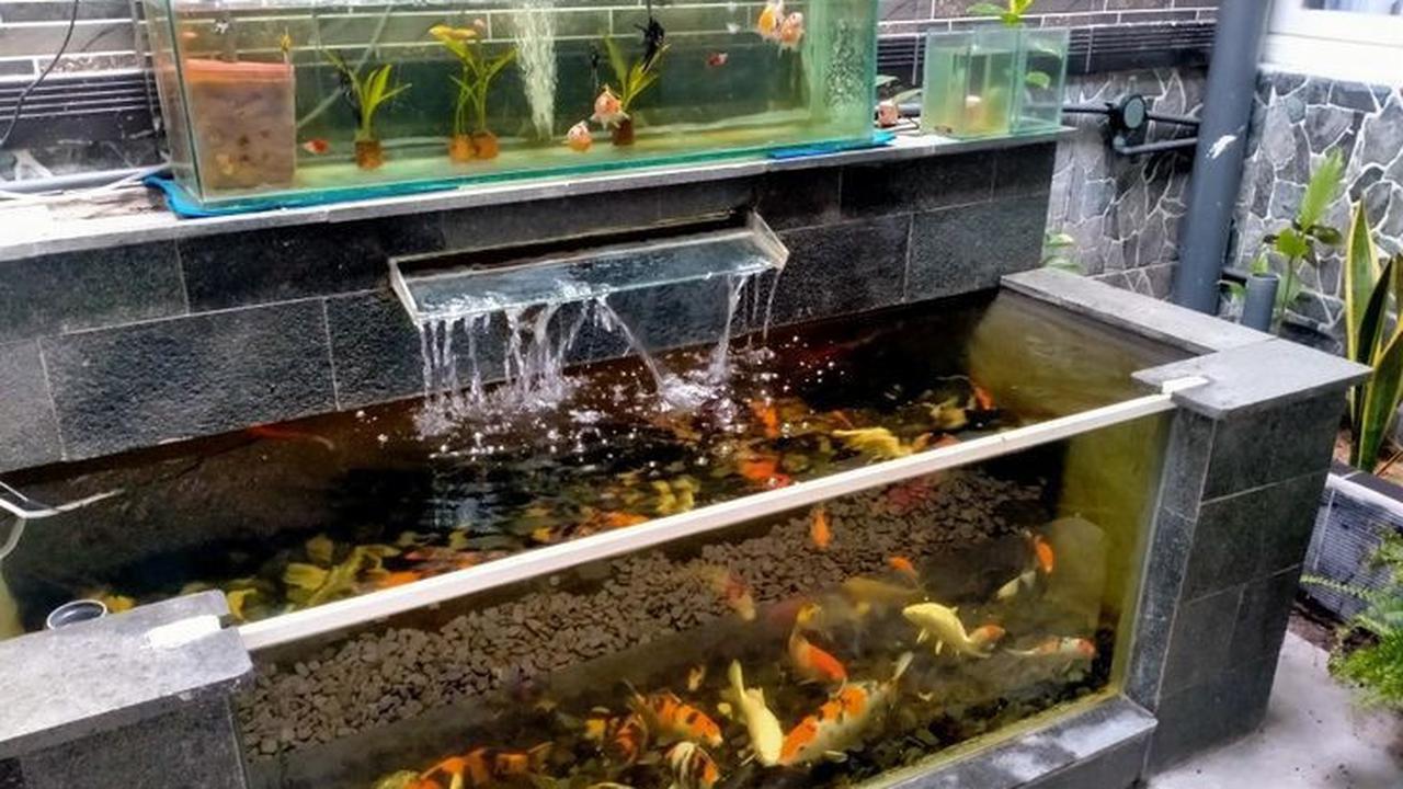 Kolam Ikan Koi Kaca<br>