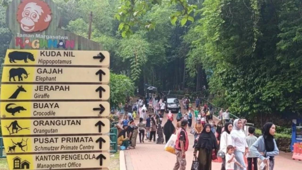 Ragunan Buka Kembali Usai Libur Lebaran, Tawarkan Program Pemberian Makan Satwa