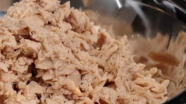 Tuna Vegan