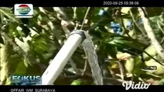 Tokoh warga Desa Sambong Kecamatan Pacitan berupaya keras bisa memanfaatkan sumur pompa dalam atau sumur bor bantuan dari Pemerintah Provinsi Jawa Timur yang sudah lama tidak dipergunakan.