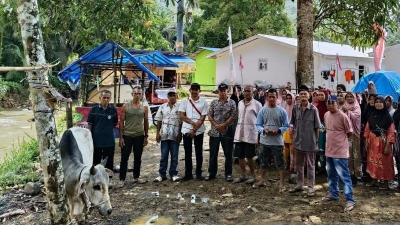 Gubernur Sumut Salurkan 10 Sapi untuk Korban Bencana Jelang Lebaran 2026