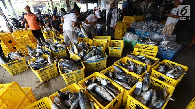 Nelayan memindahkan ikan laut hasil tangkapan di Pelabuhan Muara Angke, Jakarta, Kamis (26/10). Kementerian Kelautan dan Perikanan (KKP) menyatakan hasil ekspor perikanan Indonesia menunjukkan peningkatan. (Liputan6.com/Angga Yuniar)