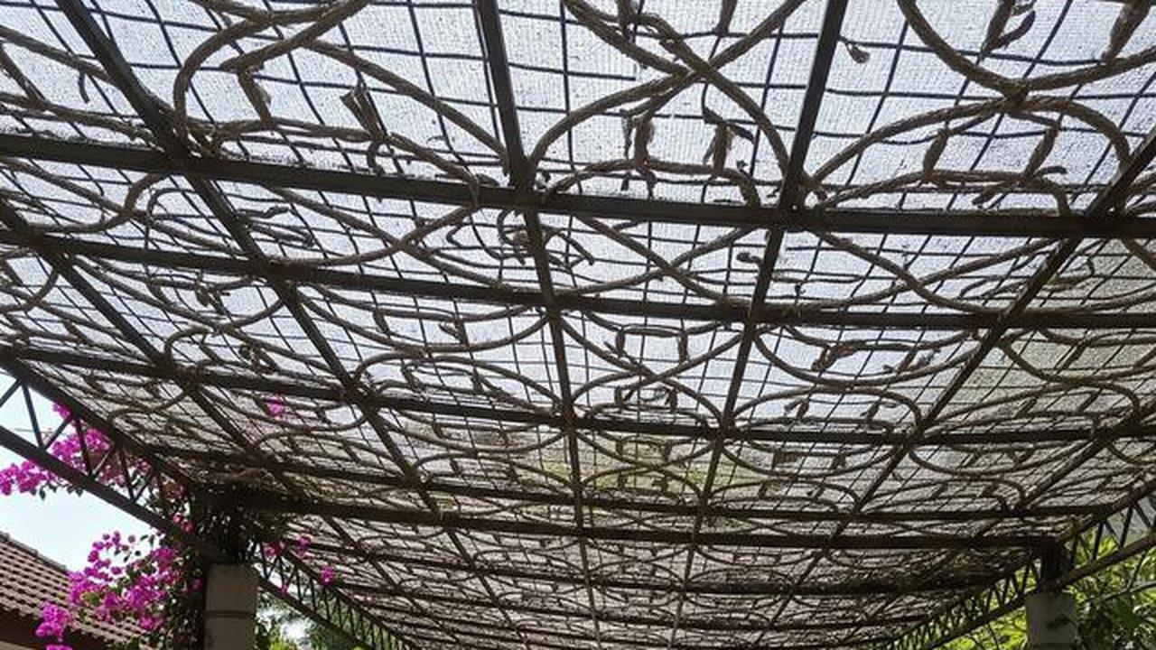 7 Desain Paranet untuk Carport agar Kendaraan Terlindungi dari Terik Matahari