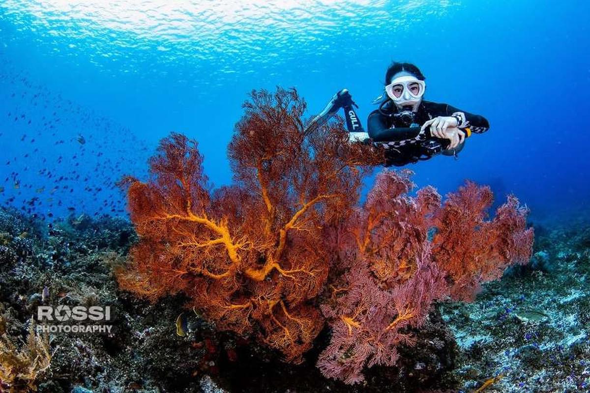 7 Potret Gisella Anastasia Diving di Tulamben dan Amed Bali Tunjukkan Keindahan Bawah Laut, Panen Pujian Keren Abis