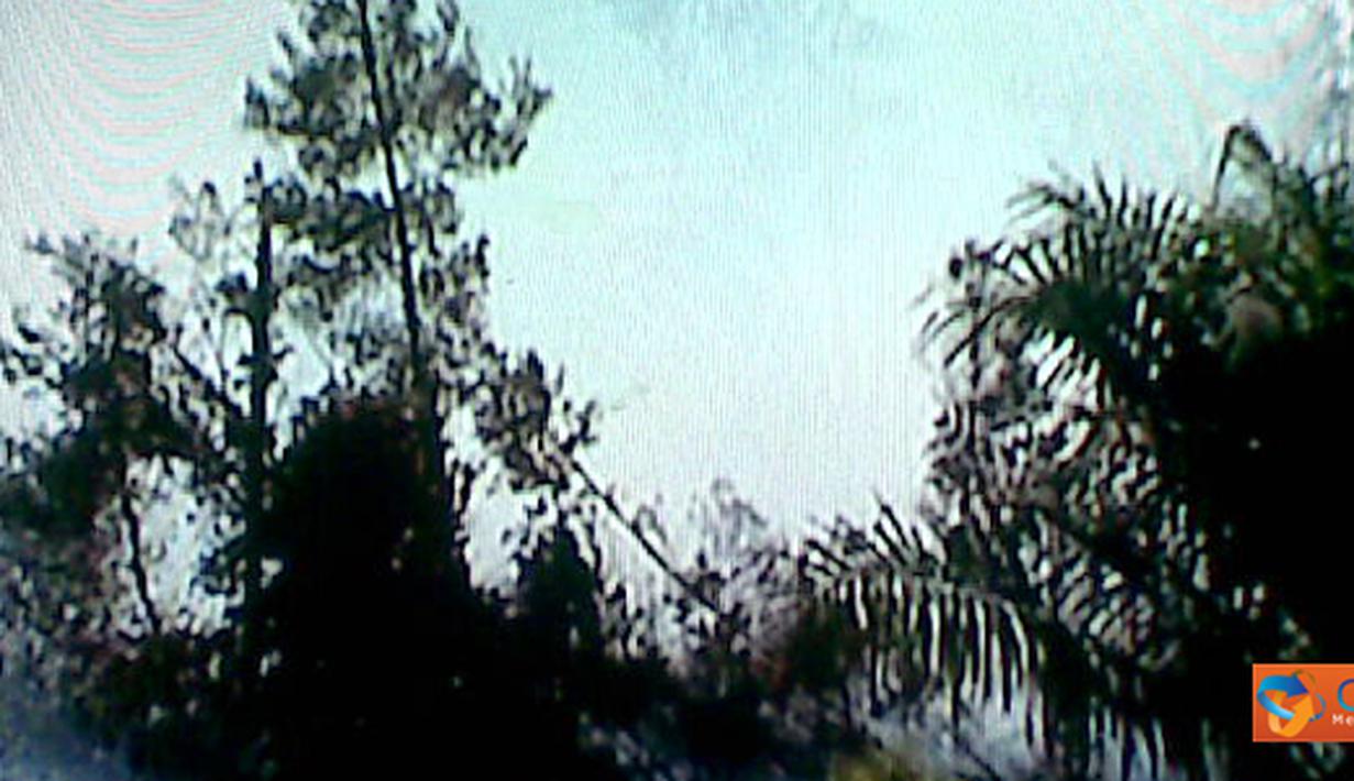 Kebakaran lahan konservasi hutan milik PT.Agro Bukit Sampit -Kabupaten Kotawaringin Timur, tepatnya didevisi 4/ K.33 dan L-31 hampir sepekan belum dapat dipadamkam.