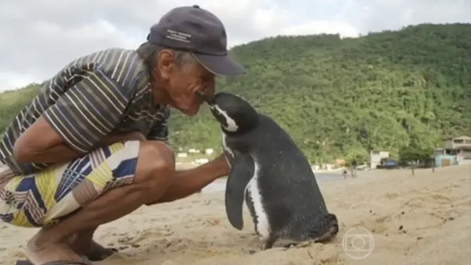 Photo: Copyright metro.co.uk