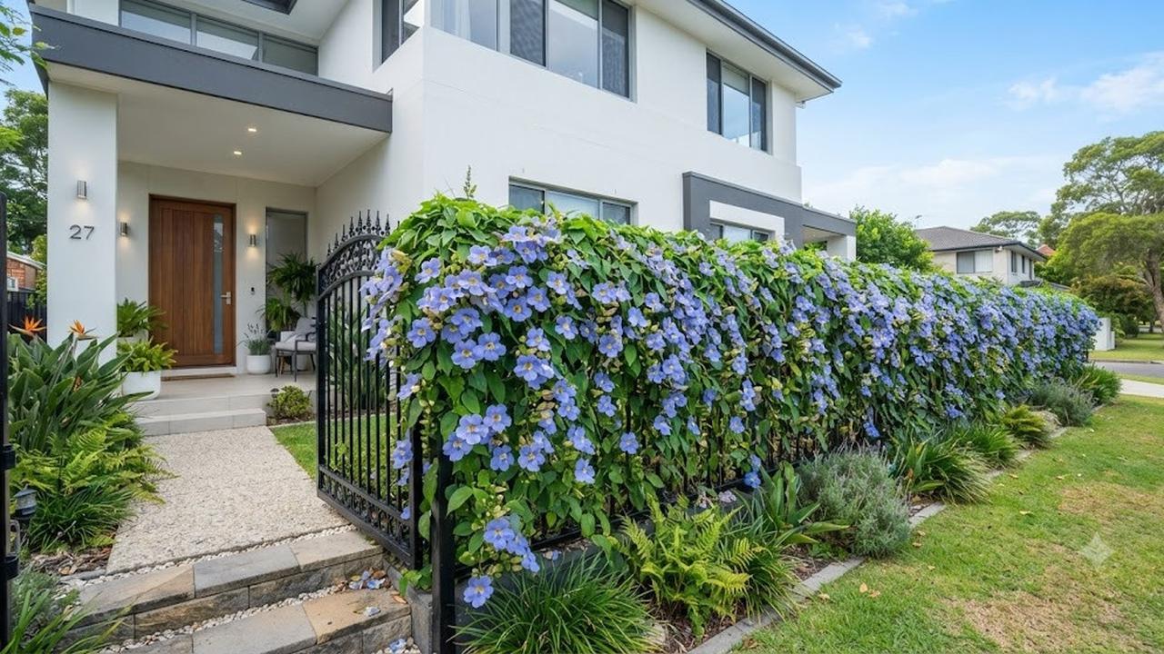 Thunbergia atau Bunga Terompet Biru (AI Generated)
