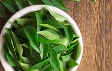Bagaimana Menjaga Aroma Daun Jeruk dan Salam Agar Tidak Hilang? Ini Tipsnya