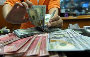 Petugas menghitung uang pecahan US$100 di pusat penukaran uang, Jakarta, , Rabu (12/8/2015). Reshuffle kabinet pemerintahan Jokowi-JK, nilai Rupiah terahadap Dollar AS hingga siang ini menembus Rp 13.849. (Liputan6.com/Johan Tallo)