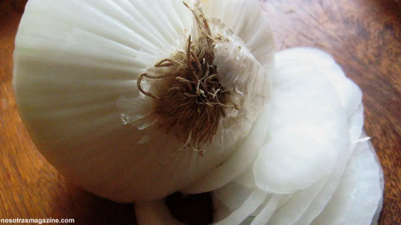bawang-putih130807b.jpg