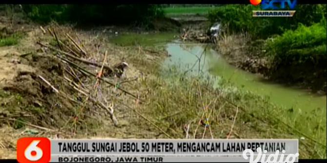 VIDEO: Tanggul Sungai di Mojokerto Jebol Ancam Ratusan Rumah Warga