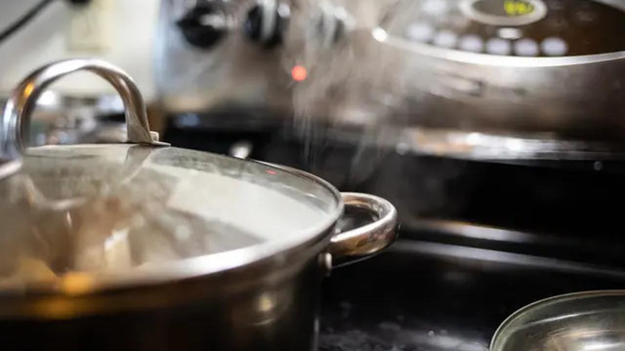 Cara Merebus Daun Sirih Cina Agar Zat Aktifnya Tidak Rusak, Ini Segudang Manfaat yang Jarang Diperhatikan