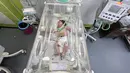 Sebuah serangan menewaskan anak-anaknya dan istrinya, Dareen Abu Shamalah, 28, yang sedang hamil pada awal bulan kesembilan kehamilannya. (Mai YAGHI / AFP)