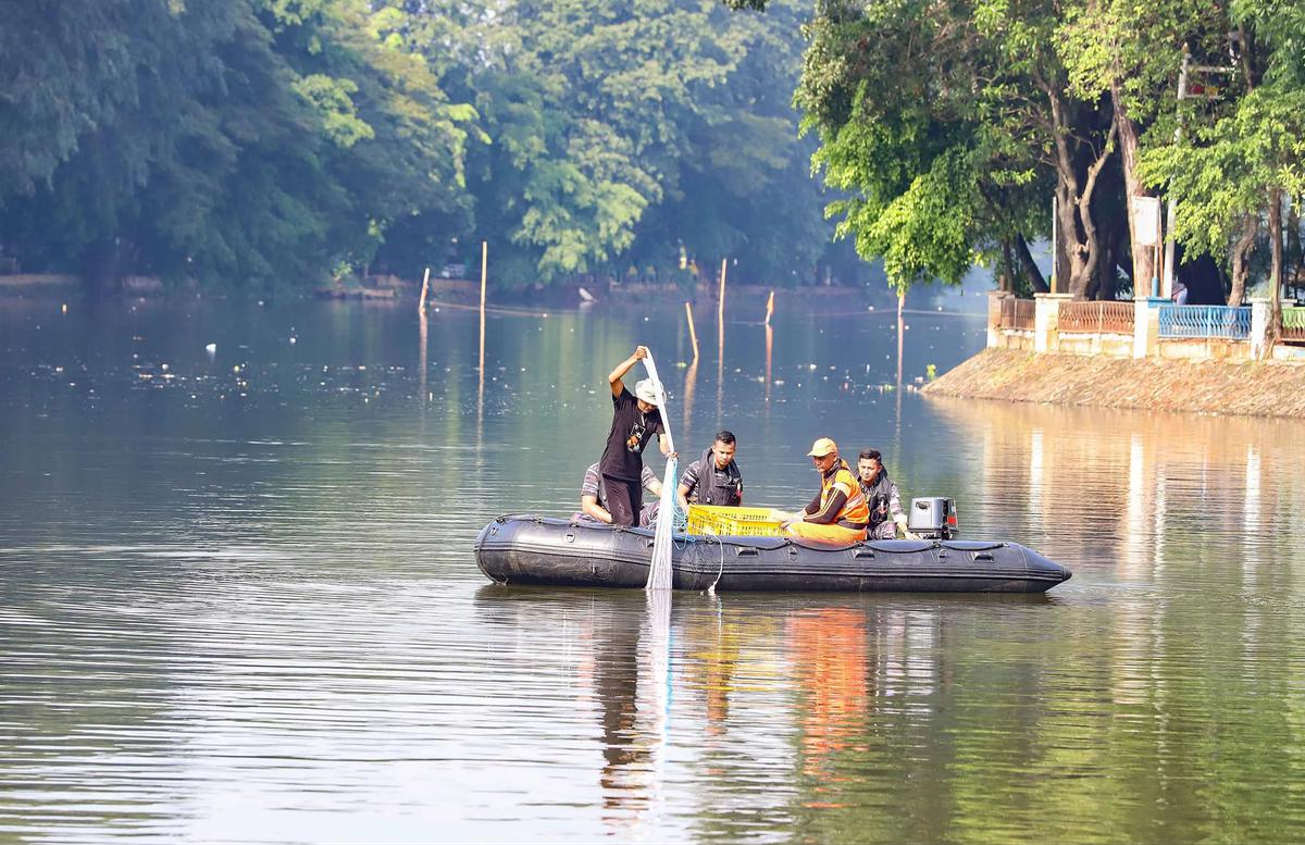 FOTO: TNI AL Bantu  Memusnahkan Ikan Sapu Sapu di Setu babakan