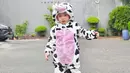 Makin tumbuh besar, Gala terlihat tambah ganteng dan lucu banget apalagi saat pakai kostum sapi ini.(instagram.com @fuji_an)