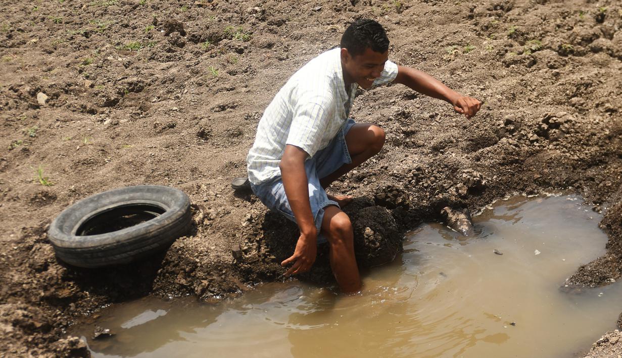 Seorang pria berada di dekat mata air yang tersisa di Danau Atescatempa, Guatemala, Jumat (5/5). Danau Atescatempa kini hanya tinggal kenangan. (AFP PHOTO / Marvin RECINOS)
