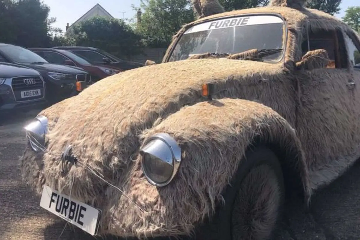 Volkswagen Kodok 'Berbulu Lebat' Ini Dijual Rp91 Juta, Minat? (Motor1)