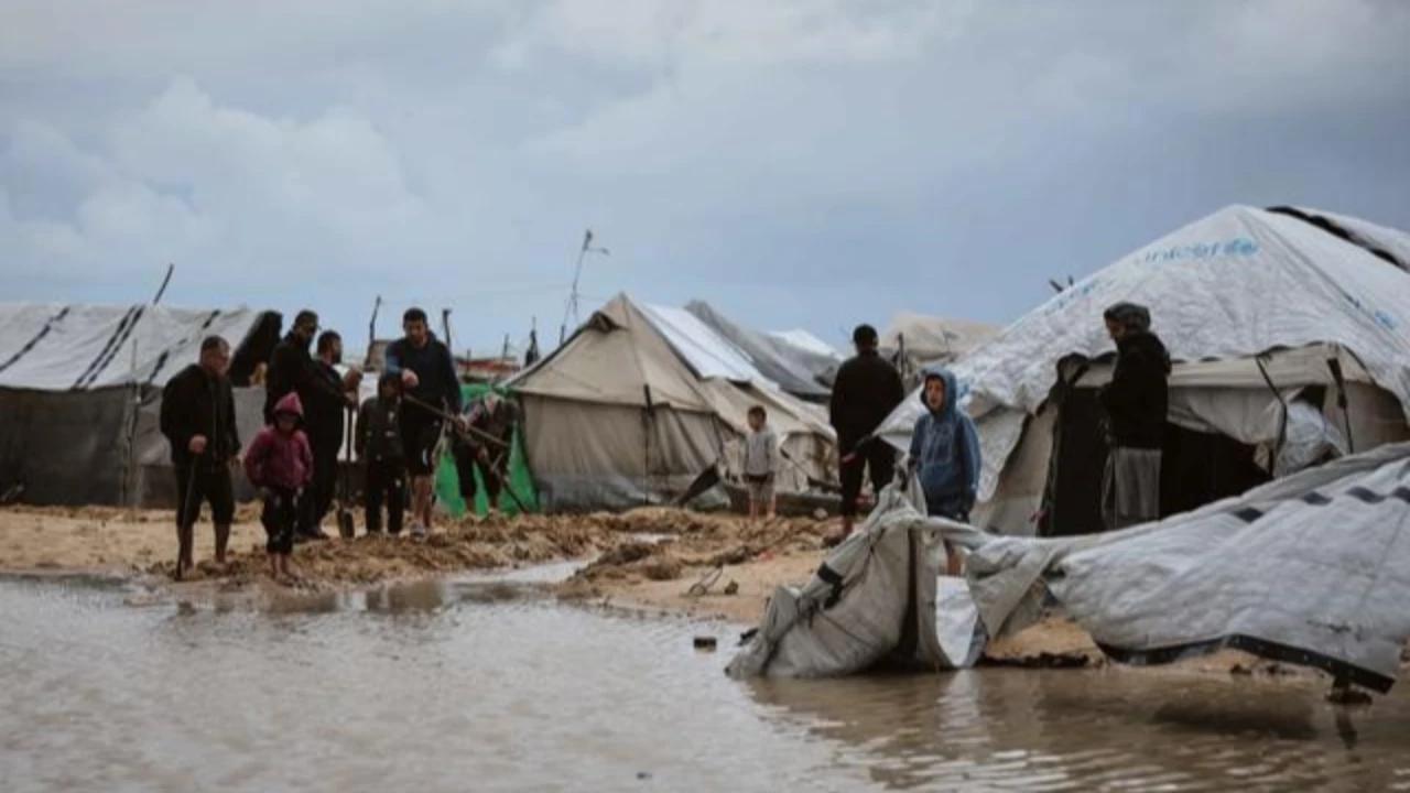 PBB Ungkap Dampak Genosida Israel terhadap Warga Gaza, Sungguh Memilukan