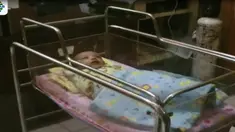 Dua hari usai melahirkan, pelaku tiba-tiba menghilang dari ruang kamar inap.