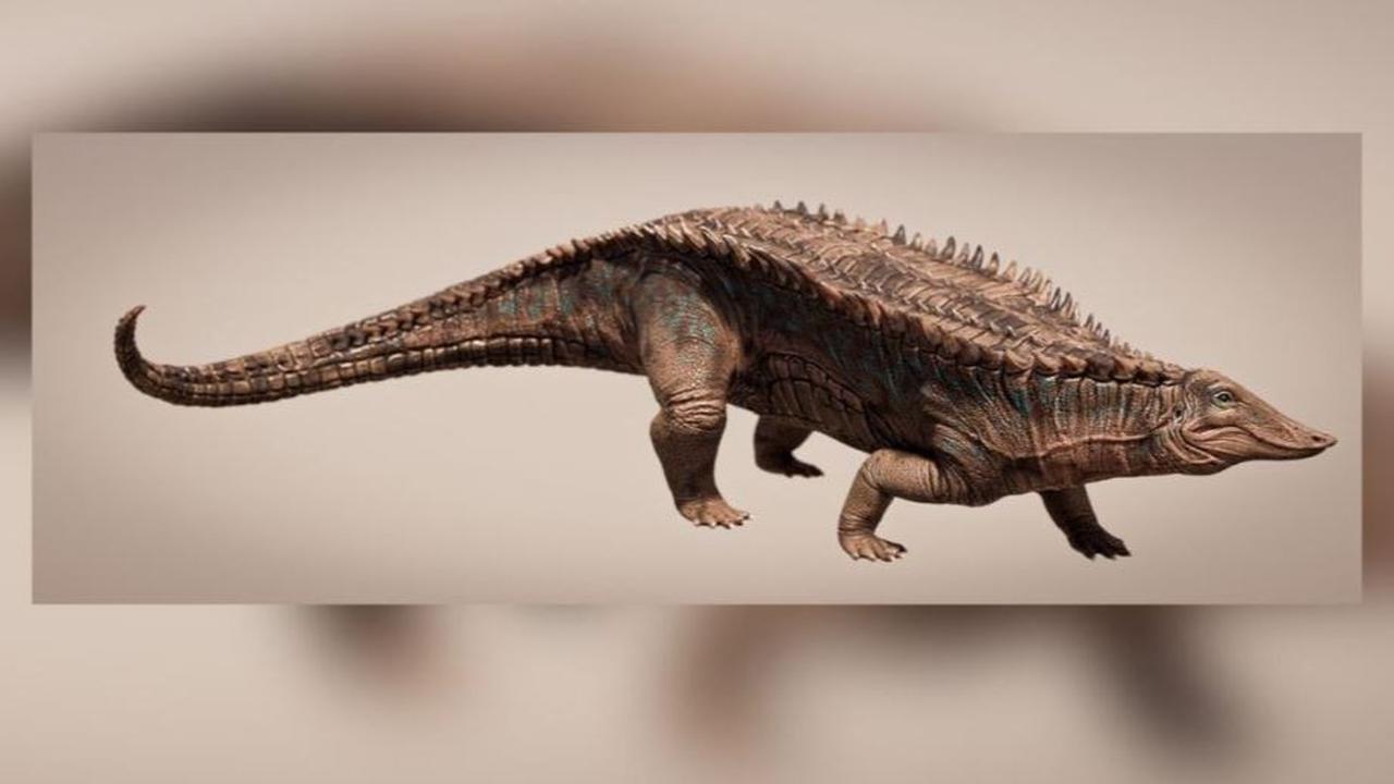 “Berbeda dengan kerabat dinosaurusnya, aetosaurus bukanlah kelompok hewan yang biasa dibicarakan."
