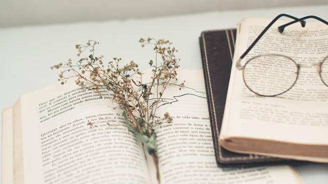 Ilustrasi membaca buku