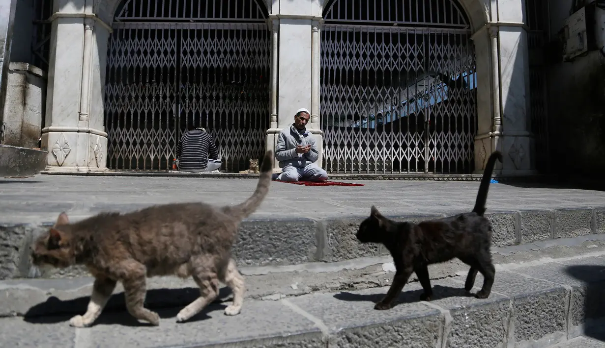 Kucing berjalan melewati seorang Muslim Kashmir yang berdoa, di luar gerbang tertutup sebuah kuil muslim selama bulan puasa Ramadhan di Srinagar, Kashmir yang dikuasai India (8/5/2020). (AP Photo/Mukhtar Khan)