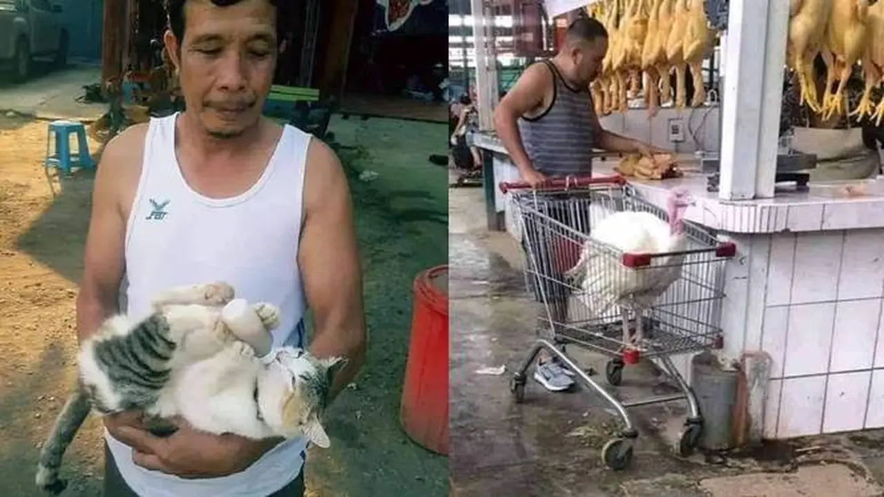8 Potret Absurd Bapak-Bapak Momong Hewan Peliharaan, Bak Anak Sendiri