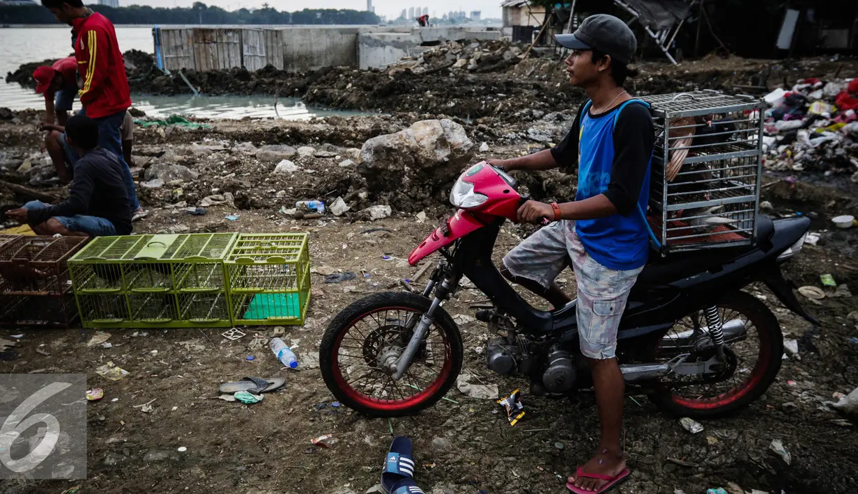 Warga atau yang biasa disebut joki membawa burungnya didalam kandang untuk dilepas saat berlatih adu ketangkasan di Sunter, Jakarta, Selasa (29/11). (Liputan6.com/Faizal Fanani)