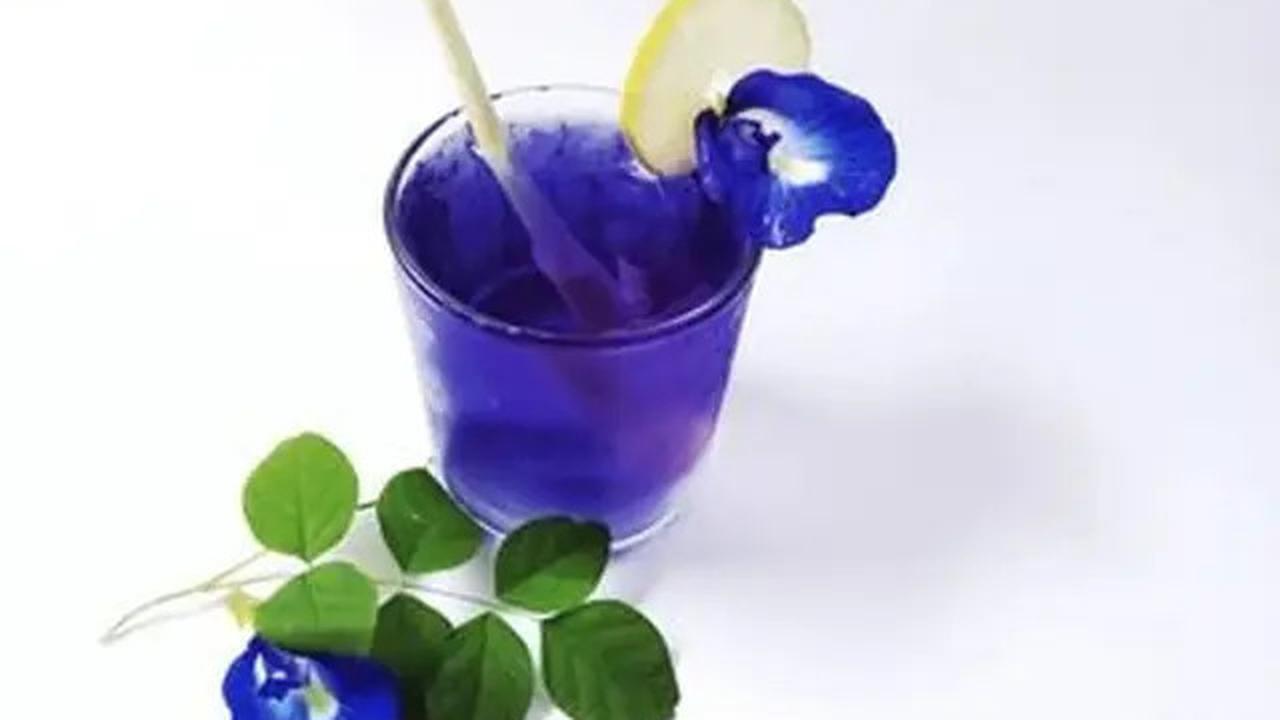 Resep Minuman Bunga Telang untuk Kesehatan yang Mudah Dibuat di Rumah