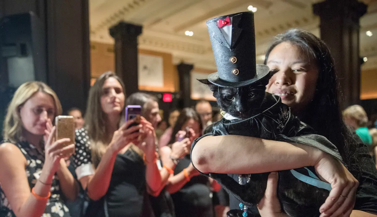Kucing Merlin memakai busana tuxedo 1920 lengkap dengan topinya saat mengikuti fashion show kucing di Hotel Algonquin di New York, AS (2/8). (AP Photo/Mary Altaffer)