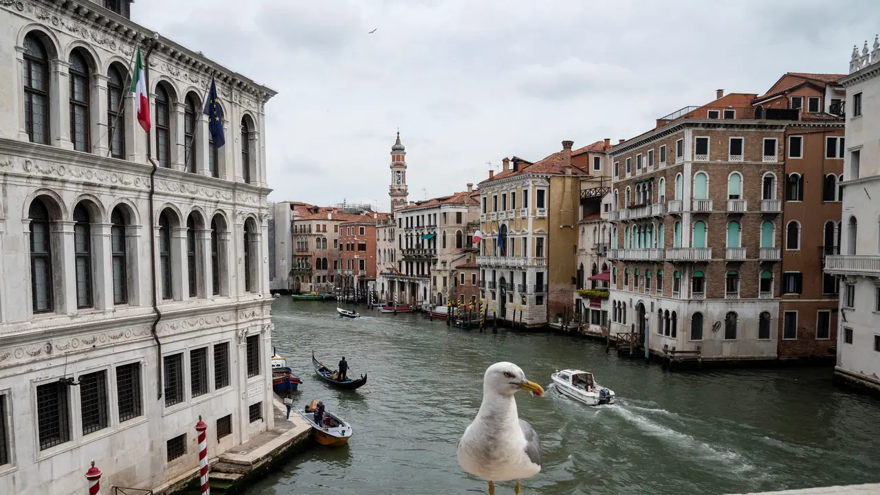 Venesia