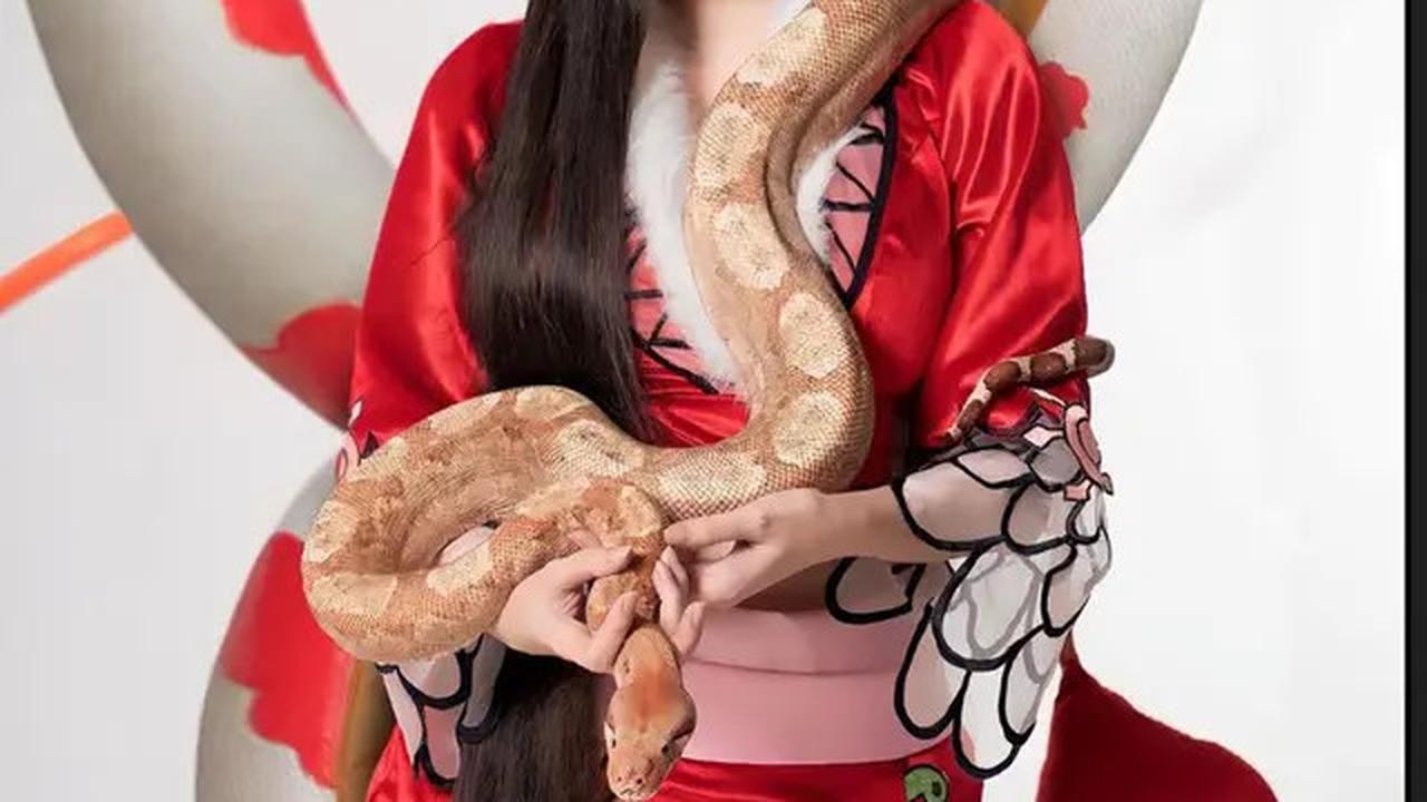 Aura Kasih, yang dikenal tidak takut pada ular, tampil beda dengan membawa piton besar dalam pemotretan ini.