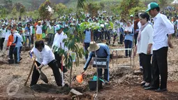 Presiden Jokowi didampingi Ibu Negara Iriana Widodo menyaksikan Menteri LHK Siti Nurbaya menanam pohon pada peringatan Hari Menanam Pohon Indonesia dan Bulan Menanam Pohon Nasional di Tahura Sultan Adam, Kalsel, Kamis (26/11). (Liputan6.com/Johan Tallo)