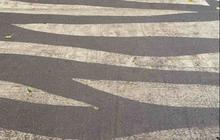 10 Potret Desain Zebra Cross Terunik di Dunia, Bikin Pengguna Jalan Cuma Bisa Melongo