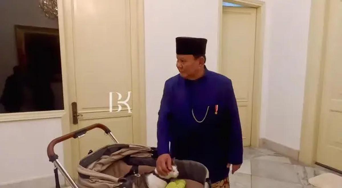 7 Potret Bobby Kucing Prabowo di Pelantikan Presiden, Jadi Penghuni Istana