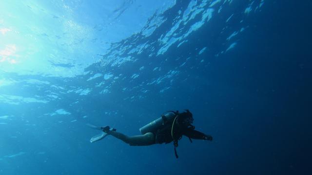 Ilustrasi penyelam, menyelam di lautan