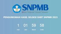 Tangkapan layar https://pengumuman-snbt-snpmb.bppp.kemdikbud.go.id/