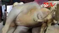 liputan6