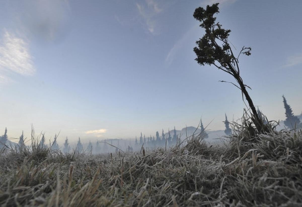 Dinginnya udara Dieng sampai embun berubah jadi es