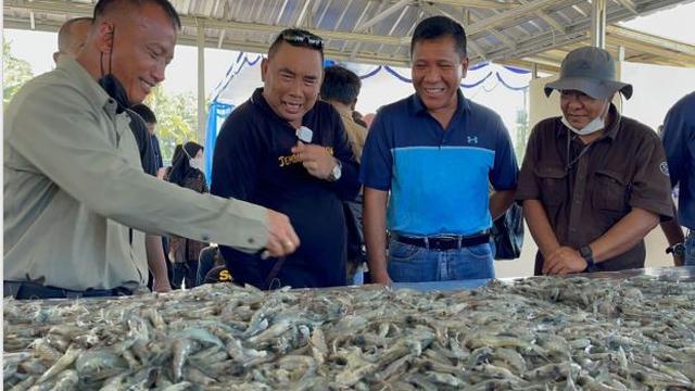 Peninjauan sentra udang Vaname di Jembrana, Bali