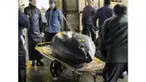 Pemerintah menyatakan ikan tuna sirip biru dan sirip kuning (bluefin dan yellow fin tuna) adalah dua jenis ikan yang paling banyak dicuri kapal-kapal asing di perairan Indonesia.  Para pelaku illegal fishing tergiur dengan harga ikan tersebut yang bisa me