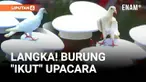 Upacara detik-detik Proklamasi dalam rangka Hari Ulang Tahun (HUT) ke-80 Republik Indonesia digelar di Istana Merdeka, Jakarta, Minggu (17/8/2025). Peristiwa langka tertangkap kamera, seekor burung turut “mengikuti” jalannya upacara pengibaran be...