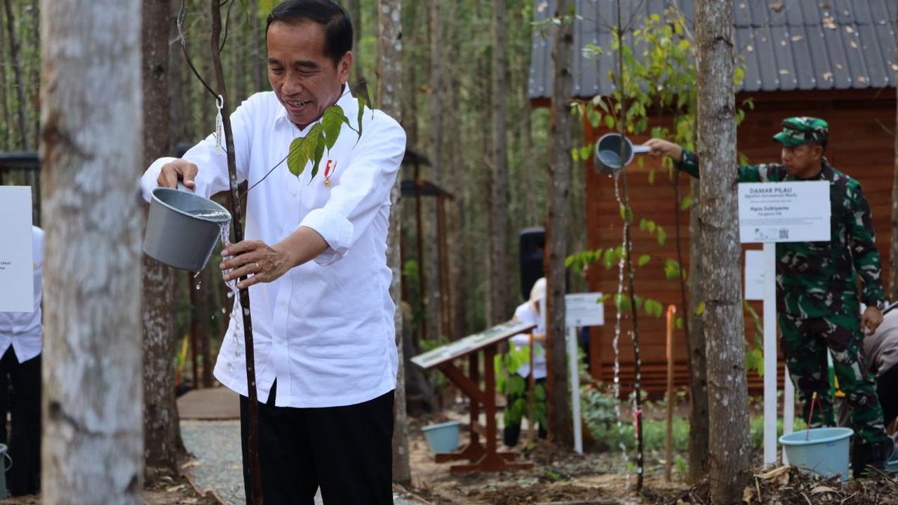 Presiden Jokowi Turut Tinjau Lokasi